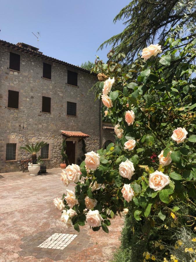 Agriturismo Beata Vanna Fabro Dış mekan fotoğraf