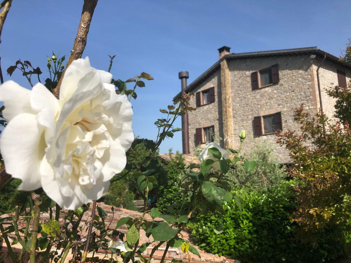 Agriturismo Beata Vanna Fabro Dış mekan fotoğraf