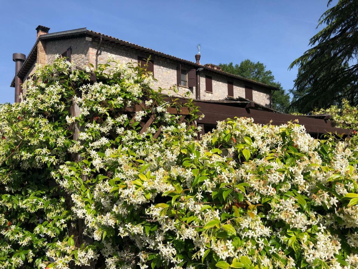 Agriturismo Beata Vanna Fabro Dış mekan fotoğraf