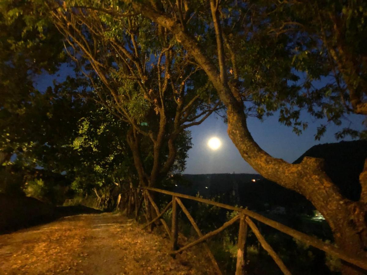 Agriturismo Beata Vanna Fabro Dış mekan fotoğraf