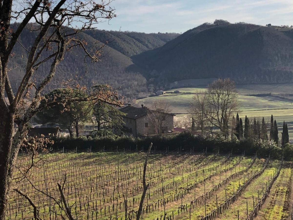 Agriturismo Beata Vanna Fabro Dış mekan fotoğraf